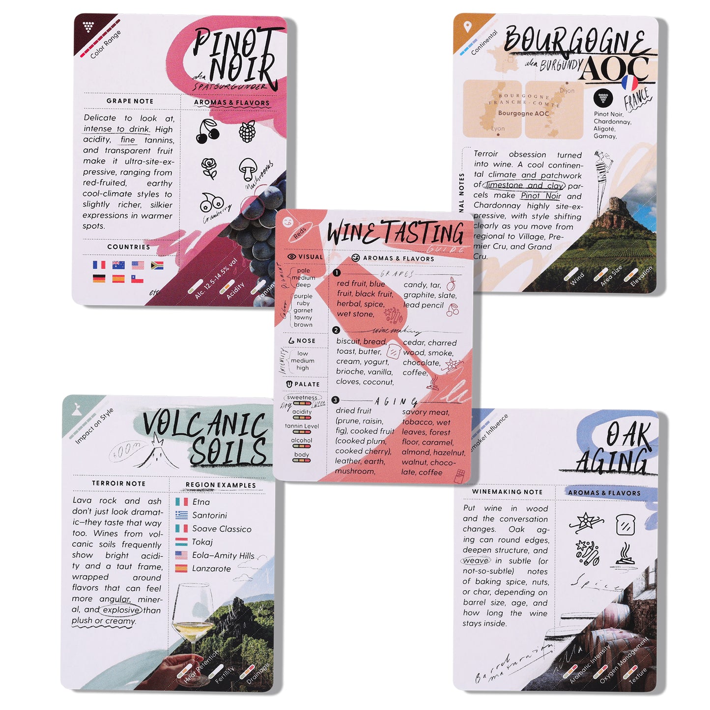 WineSchool: Foundation Bundle
