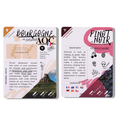 WineSchool: Foundation Bundle