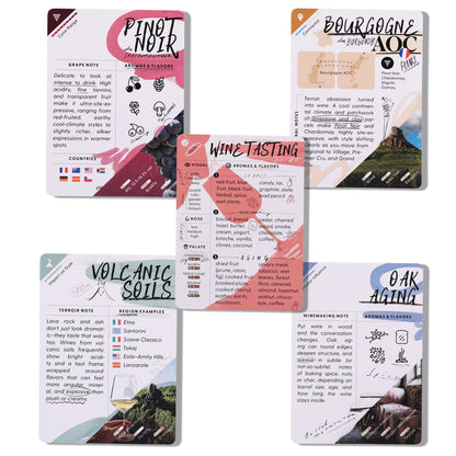 WineSchool: Foundation Bundle