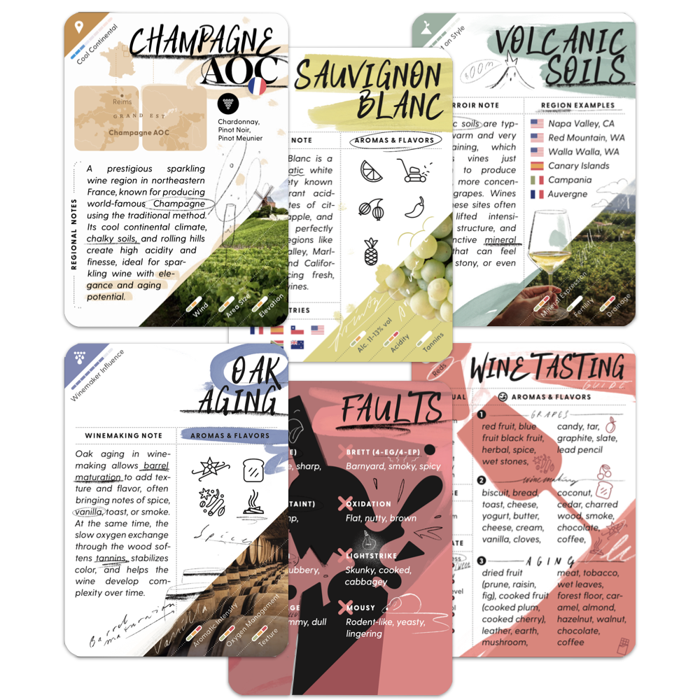 Collection of Mistral WineCards wine education cards with various topics on a white background