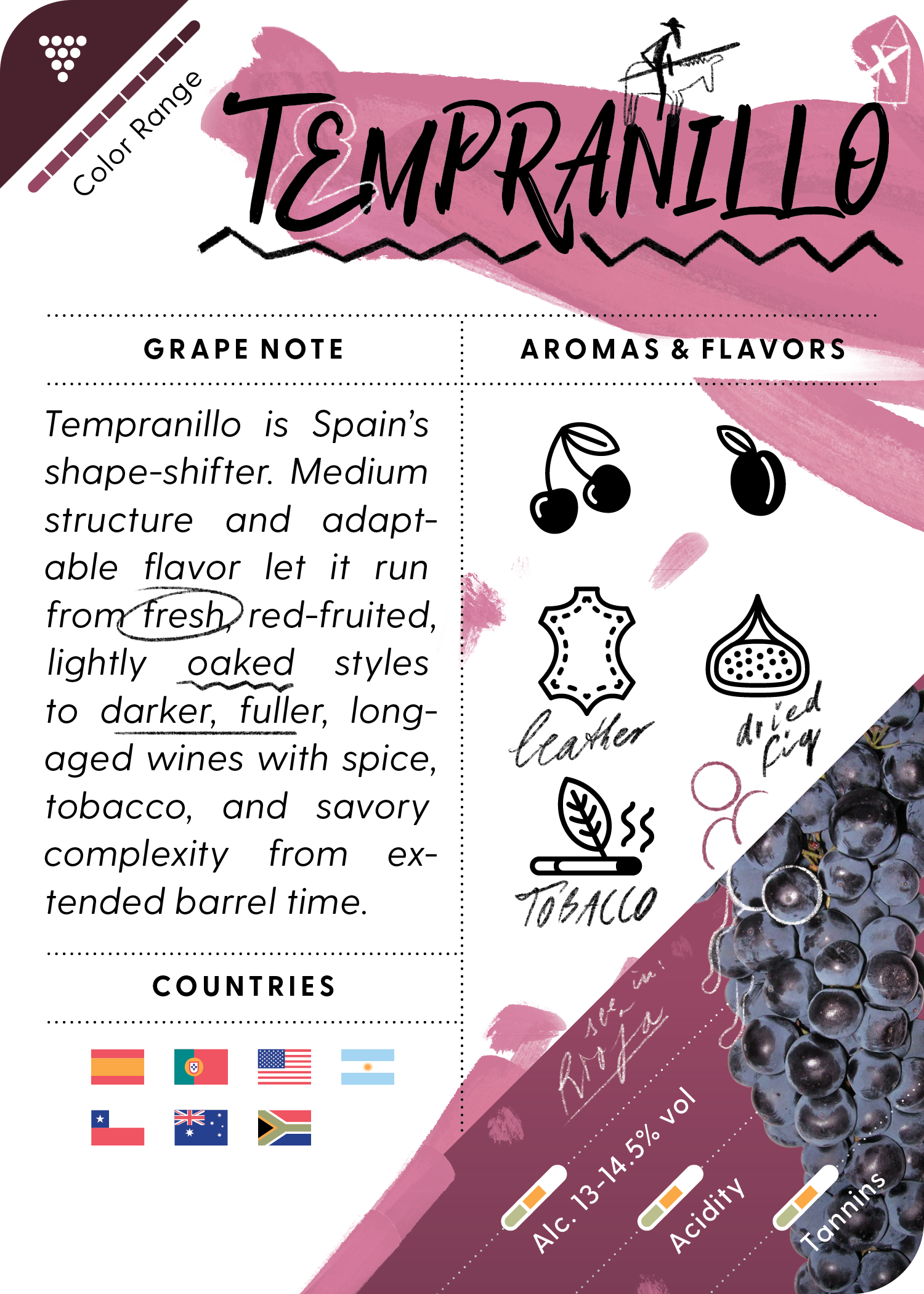 Tempranillo wine information Mistral Grape WineCard with graphics and text on a white background
