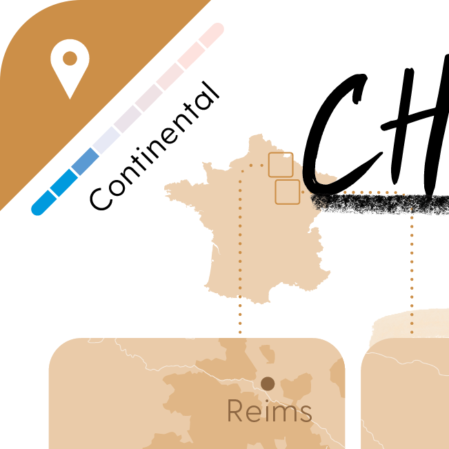 Informational graphic about Champagne AOC wine with vineyard image and text by Mistral WineCards.