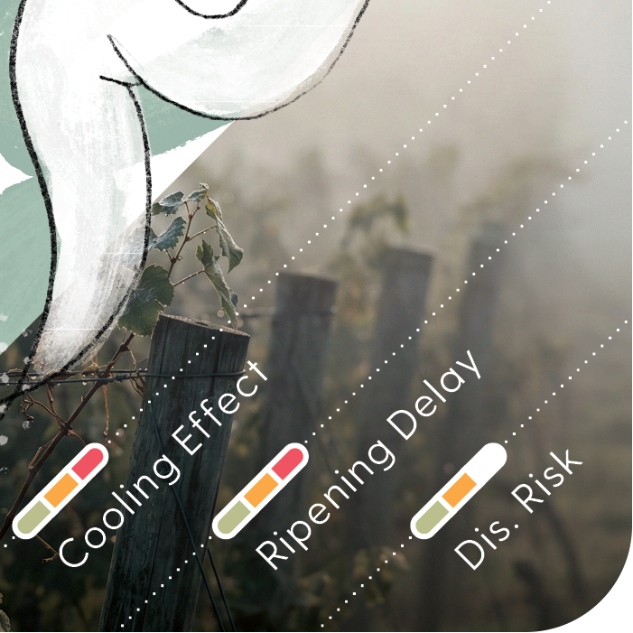 Mistral WineCard with text about fog impact on wine regions and examples.